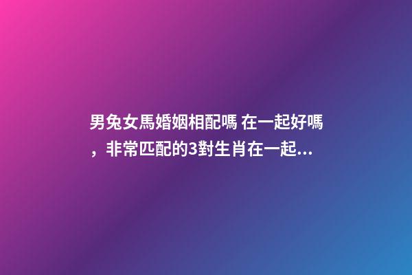 男兔女馬婚姻相配嗎 在一起好嗎，非常匹配的3對生肖在一起恩愛有加